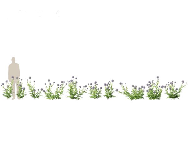 Garden Greenery Essentials Pack 39 - Image 9