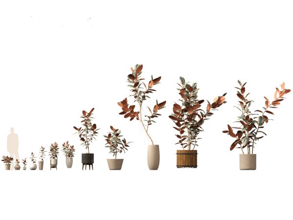 Large Potted Greenery Pack 40 - Image 7